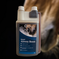 Smart Airway Boost