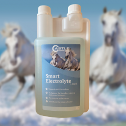 Smart Electrolyte Liquid