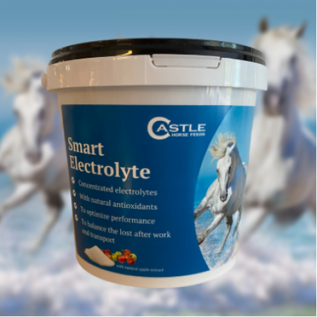 Smart Electrolyte, 1,5 kg